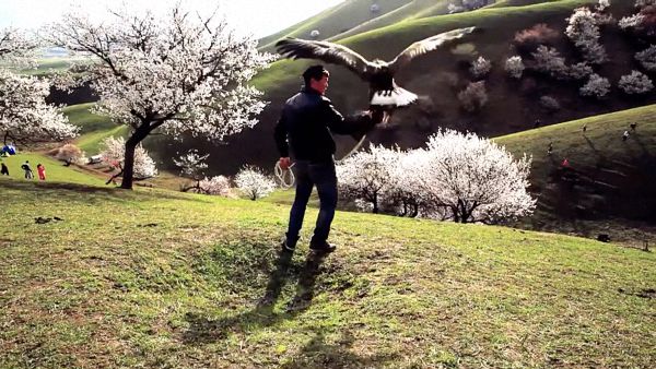 视频 | 游牧之声，关于“潮尔”的田野记录