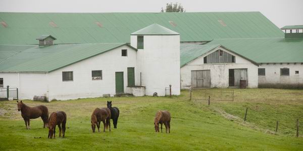 你也可以像闪电麦昆一样，来一个不寻常的驾车之旅