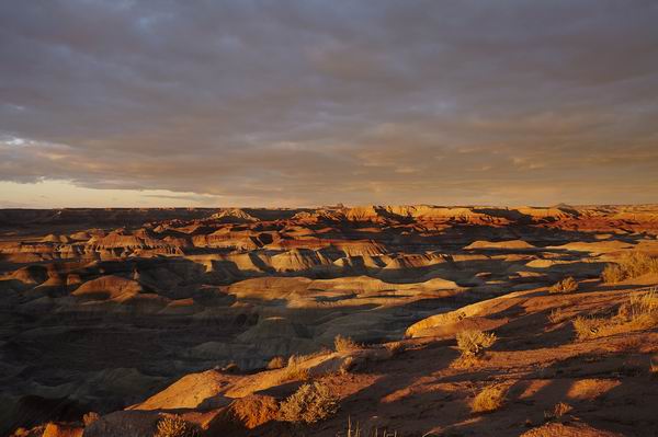 你也可以像闪电麦昆一样，来一个不寻常的驾车之旅