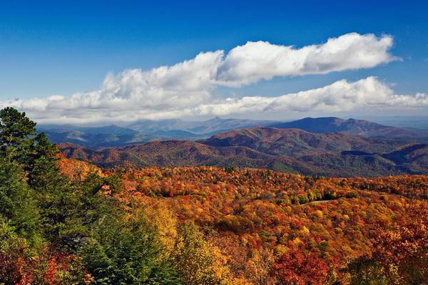 你也可以像闪电麦昆一样，来一个不寻常的驾车之旅