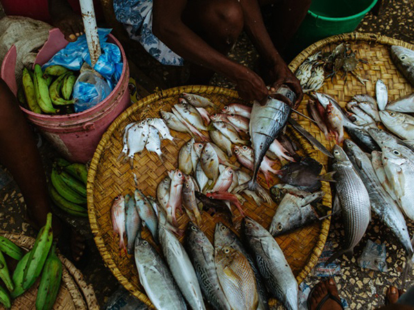 穿越西半球最穷国：木划艇、摩托车、蹦蹦车过海地