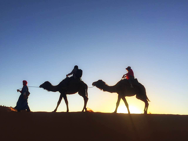 迷宫、染坊和沙漠快闪电台，摩洛哥的琐碎和壮观