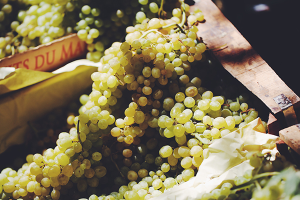 迷宫、染坊和沙漠快闪电台，摩洛哥的琐碎和壮观