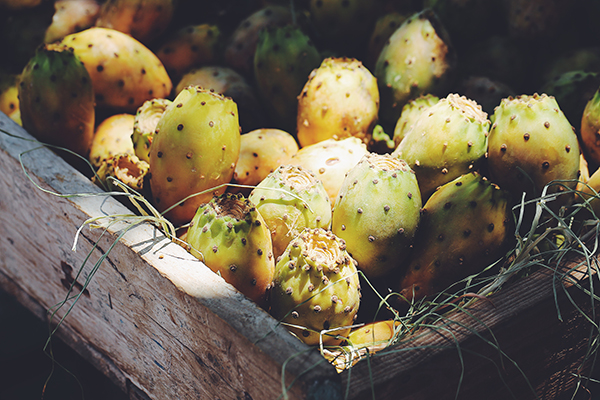 迷宫、染坊和沙漠快闪电台，摩洛哥的琐碎和壮观