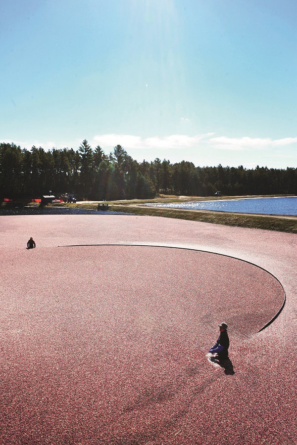 从瓦尔登湖到中央公园