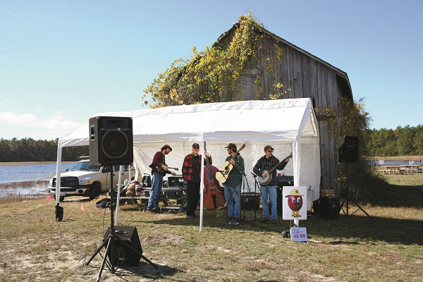 从瓦尔登湖到中央公园
