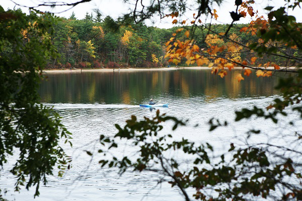 从瓦尔登湖到中央公园