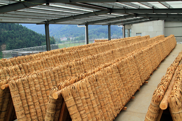 三湘秘境 | 一次乡土文化之旅