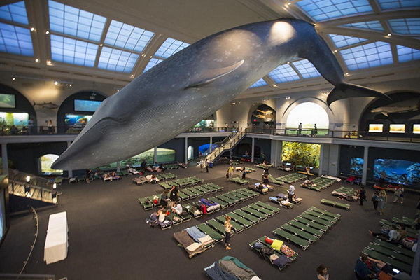 夜游博物馆不稀奇，现在我们讨论的是哪些博物馆最好睡