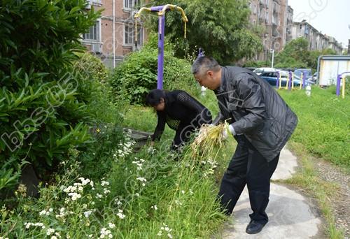 共建单位深入基层参与环境整治工作.JPG