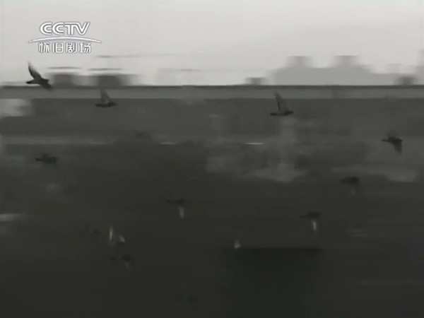 想当年｜有些人永远都不懂，贫嘴张大民的幸福生活