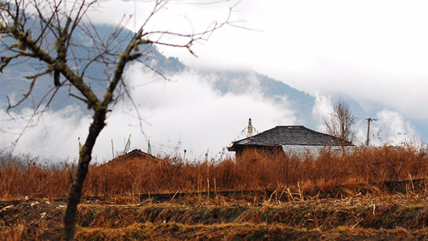 寻找怒江峡谷深处的秘境花园