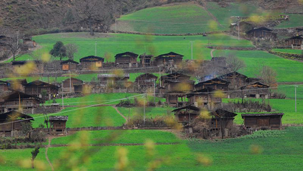 寻找怒江峡谷深处的秘境花园