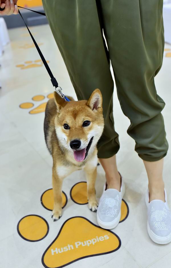 时尚配饰与慈善公益挂钩，你会买单吗