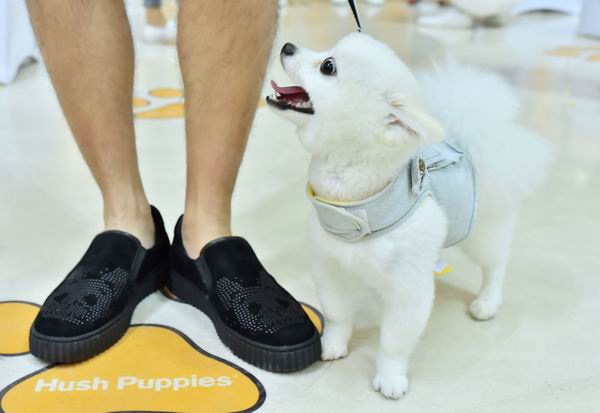 时尚配饰与慈善公益挂钩，你会买单吗