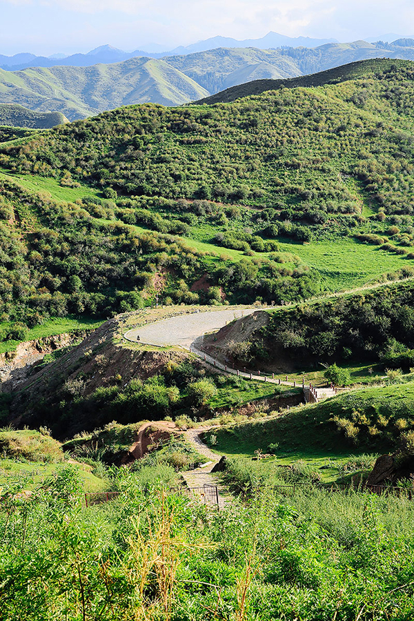 天山深处的康家石门子岩画：西王母、舞蹈、生殖崇拜