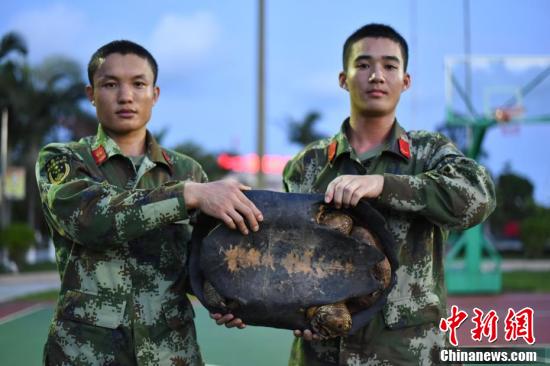 广西查获18只亚洲巨龟，最大长48厘米重12.4公斤