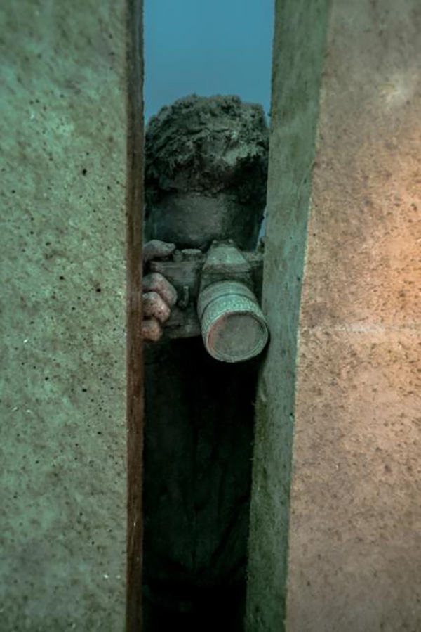 用艺术反哺海洋