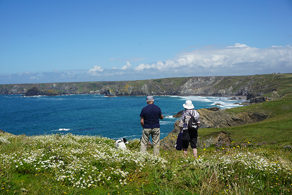 徒步康沃尔，游走于文明和荒野的交界