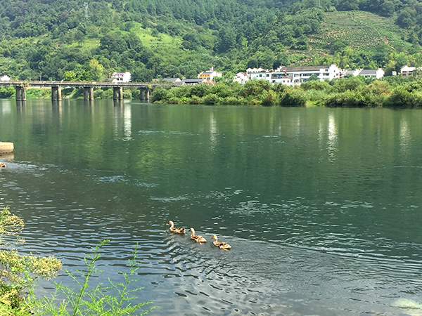 循着李白的足迹游宣城