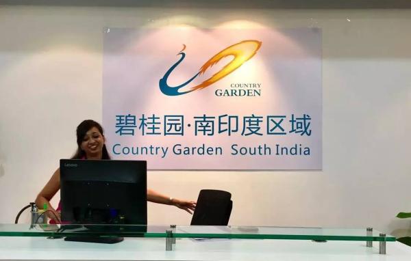 中国地产商掘金印度：碧桂园的大盘计划和万达的产业新城