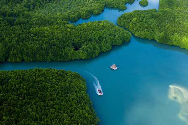 《中餐厅》热播，泰国象岛人气激增