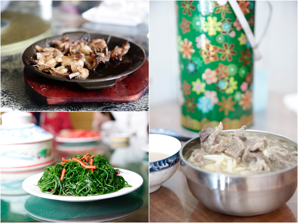 穿越内蒙古：草原后面是森林，森林后面是草原