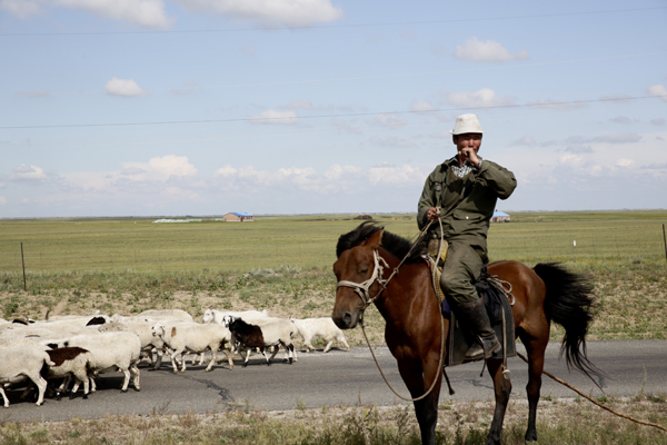 穿越内蒙古：草原后面是森林，森林后面是草原