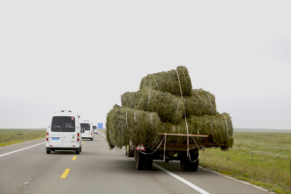 穿越内蒙古：草原后面是森林，森林后面是草原