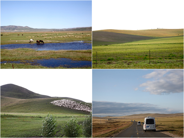 穿越内蒙古：草原后面是森林，森林后面是草原