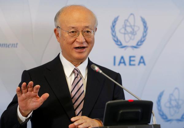国际原子能机构总干事：中国大型压水堆对“核能未来很重要”