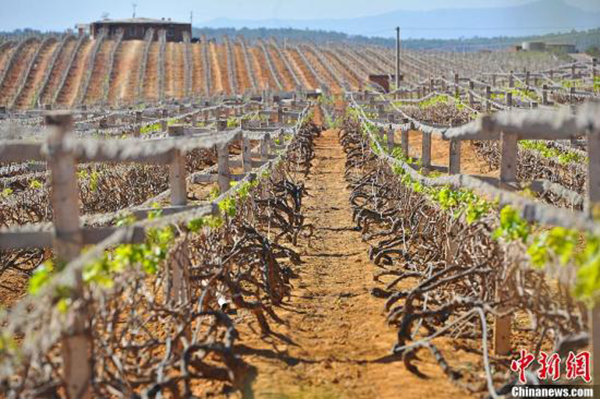 中国实行水效标识管理：每年节水效益折合水费至少120亿元