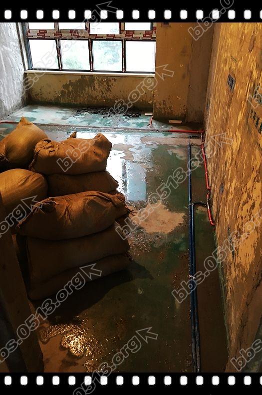 找平养护 (3).jpg