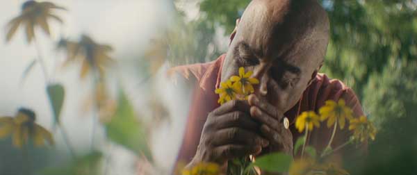 Frank Senior：洞悉未知，寻获新感知