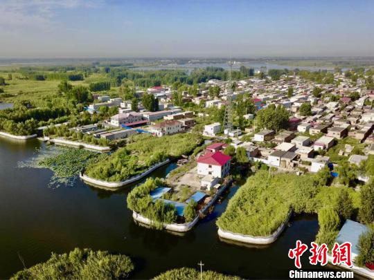 刘宝玲：雄安新区正完善合作造林机制，农户有保底收益