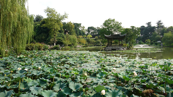 两座南京明代造园，如何重获新生