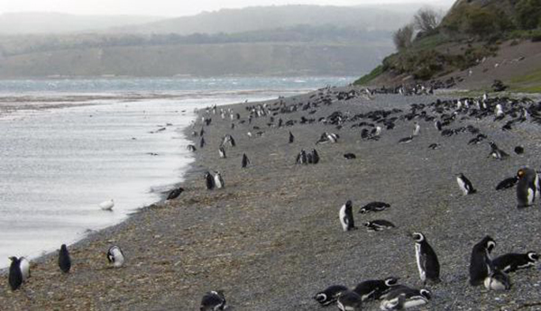 世界尽头长什么样？