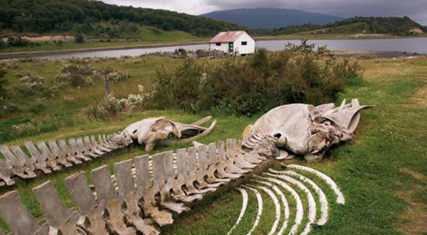 世界尽头长什么样？