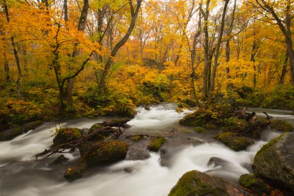 今年秋季最美的赏枫线路都在这里了
