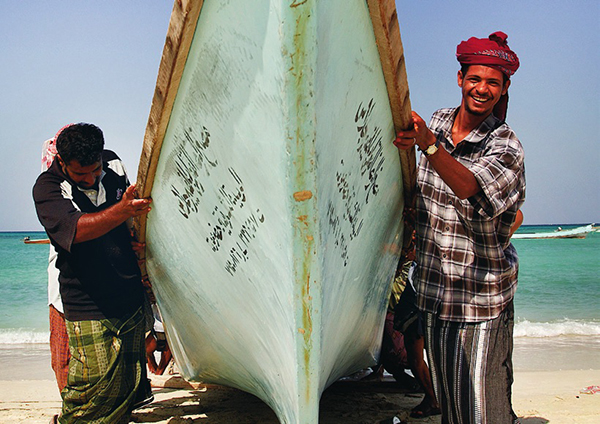 寻找植物活化石龙血树，探秘也门索科特拉岛