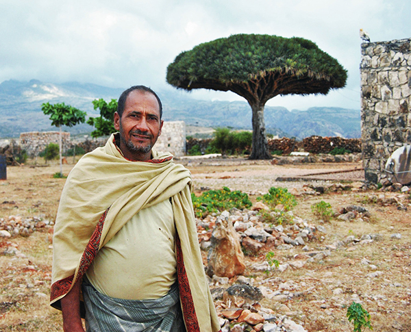 寻找植物活化石龙血树，探秘也门索科特拉岛
