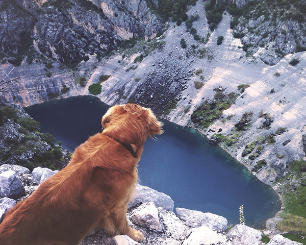 走着瞧 | 飞行气流颠簸解决有望，克罗地亚蓝湖行将消失