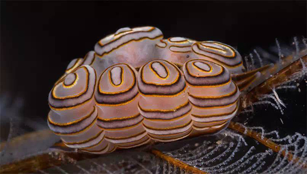 阿贡火山或将喷发，还能不能去巴厘岛愉快地玩耍了？