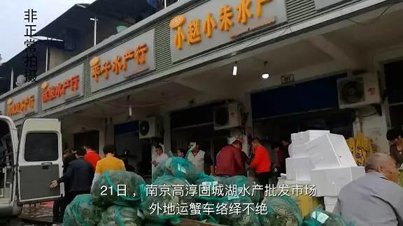 视频丨连“洗澡”都省了，市场上的阳澄湖大闸蟹多少为真？