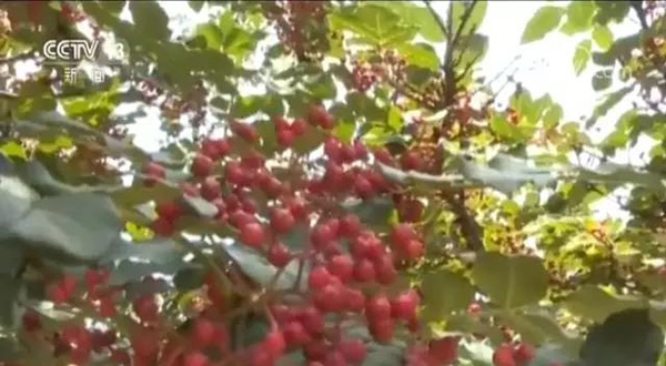 9年10万人建1条铁路！今天，甘肃兰州到重庆铁路全线通车