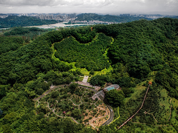 航拍中国｜熟悉的城市，陌生的风景：深圳的头顶万象