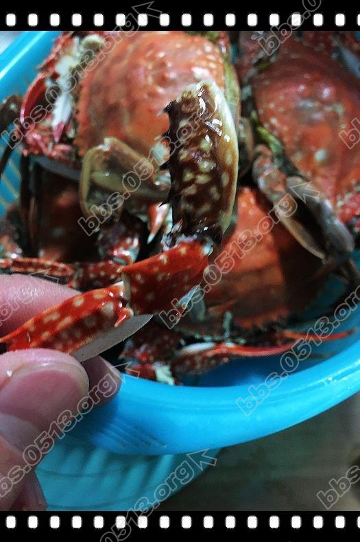 梭子蟹 (17).jpg