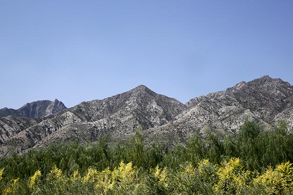 从沙地到沙漠，内蒙古的另一面