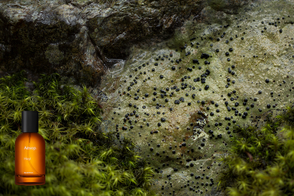 十一长假，给自己的化妆包来个大改造