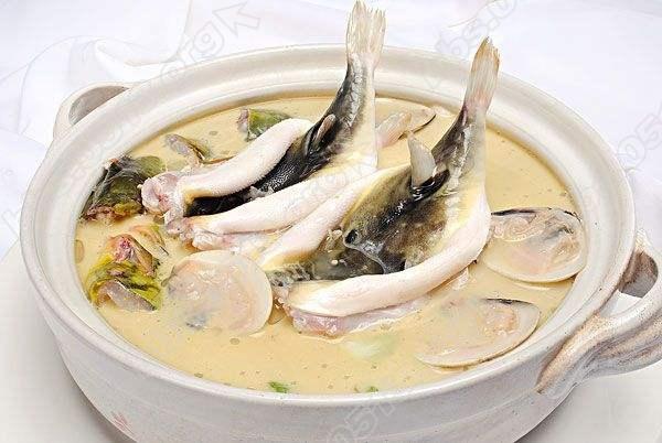 海安河豚(海安河豚节什么时候)